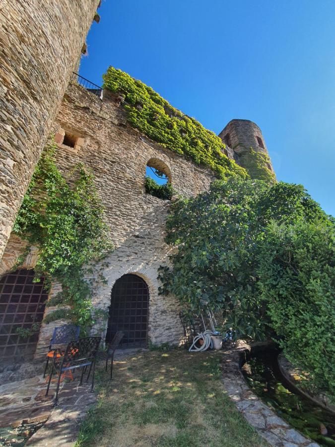Chambre d'Hôtes au Château de Belcastel Belcastel  Exterior foto