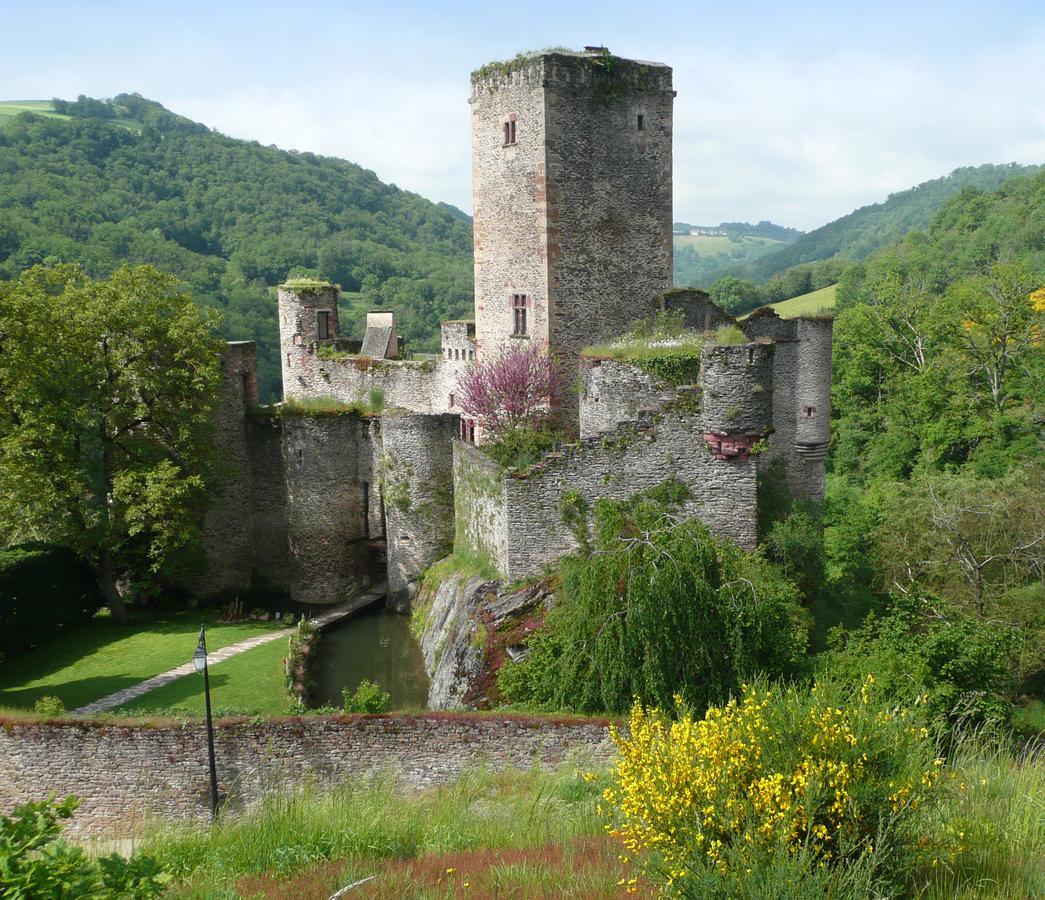 Chambre d'Hôtes au Château de Belcastel Belcastel  Exterior foto